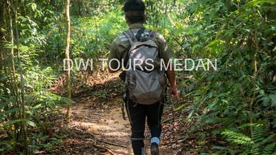 3D2N Medan – Bukit Lawang – Tangkahan: Jungle Trekking, Wildlife Adventure (Beyond the Trek) - Image - 13663